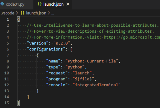 Debug configuration in launch.json file.